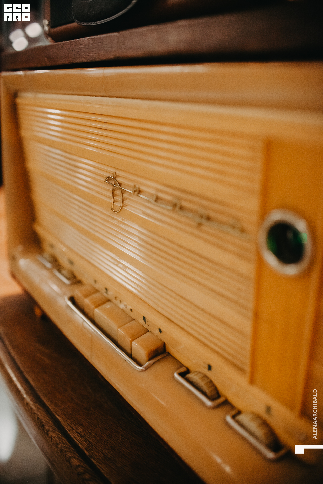 2021-09-07 18-31-38_alenaarchibald080.JPG