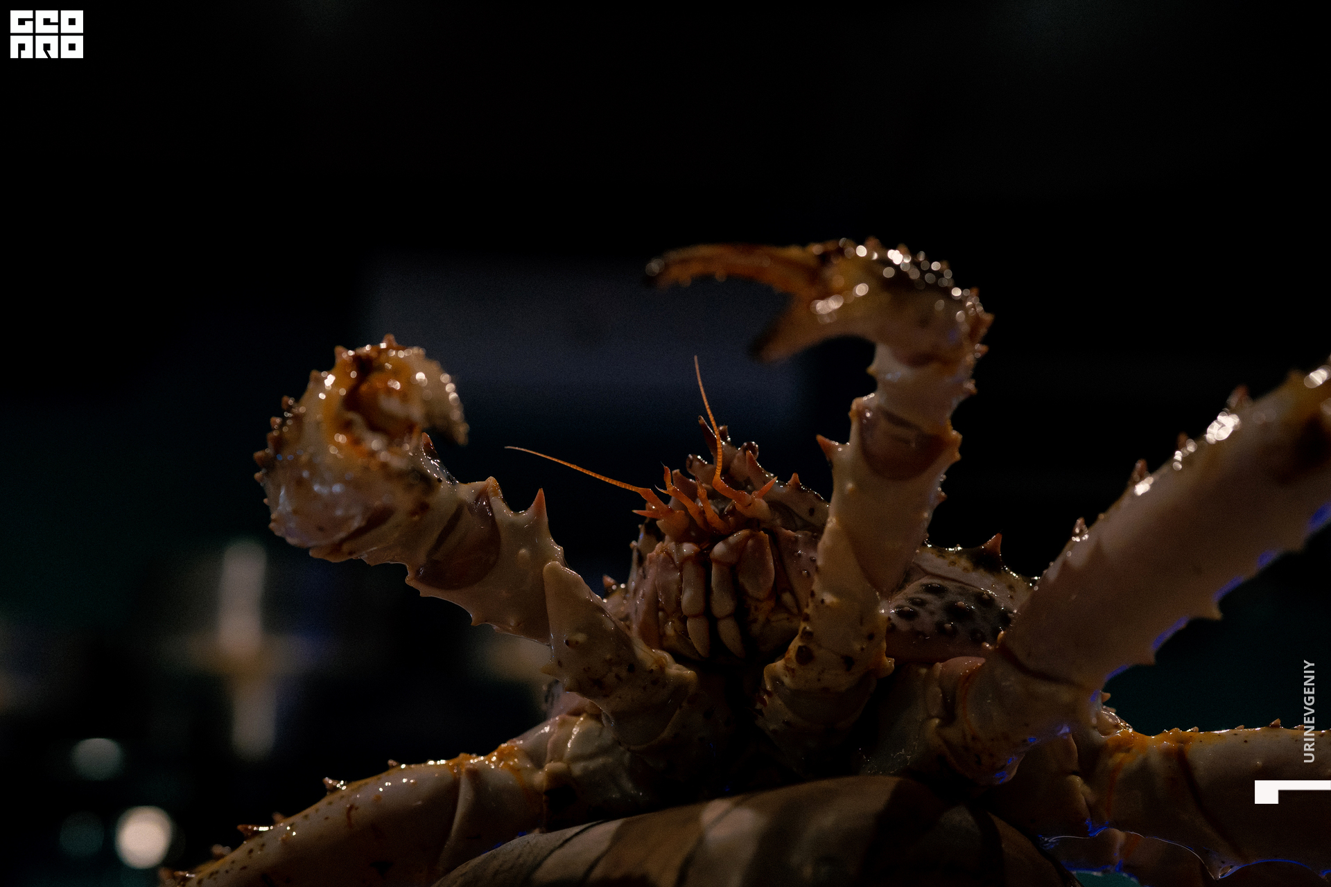 28.10.2021. Kraken (61).jpg