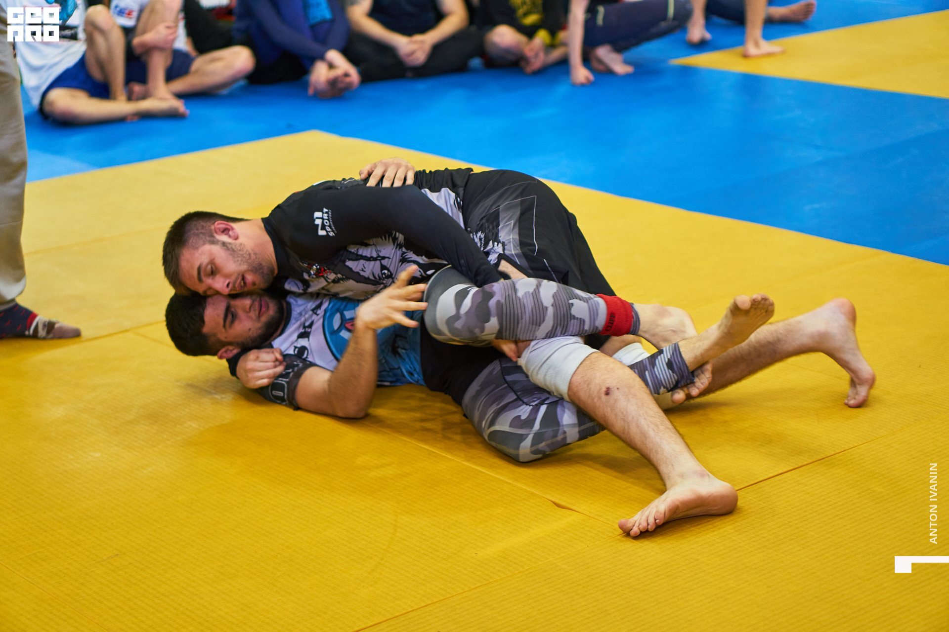 DSC09390 (Копировать).jpg