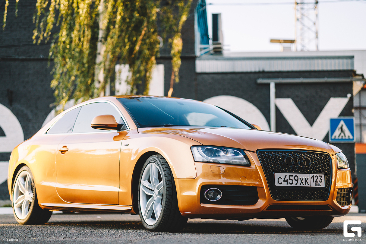 Встреча Audi клуба 11
