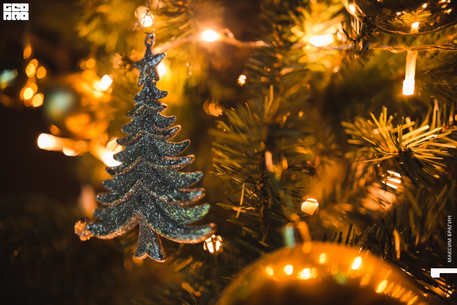 08-01-2021 21-45-52.jpg