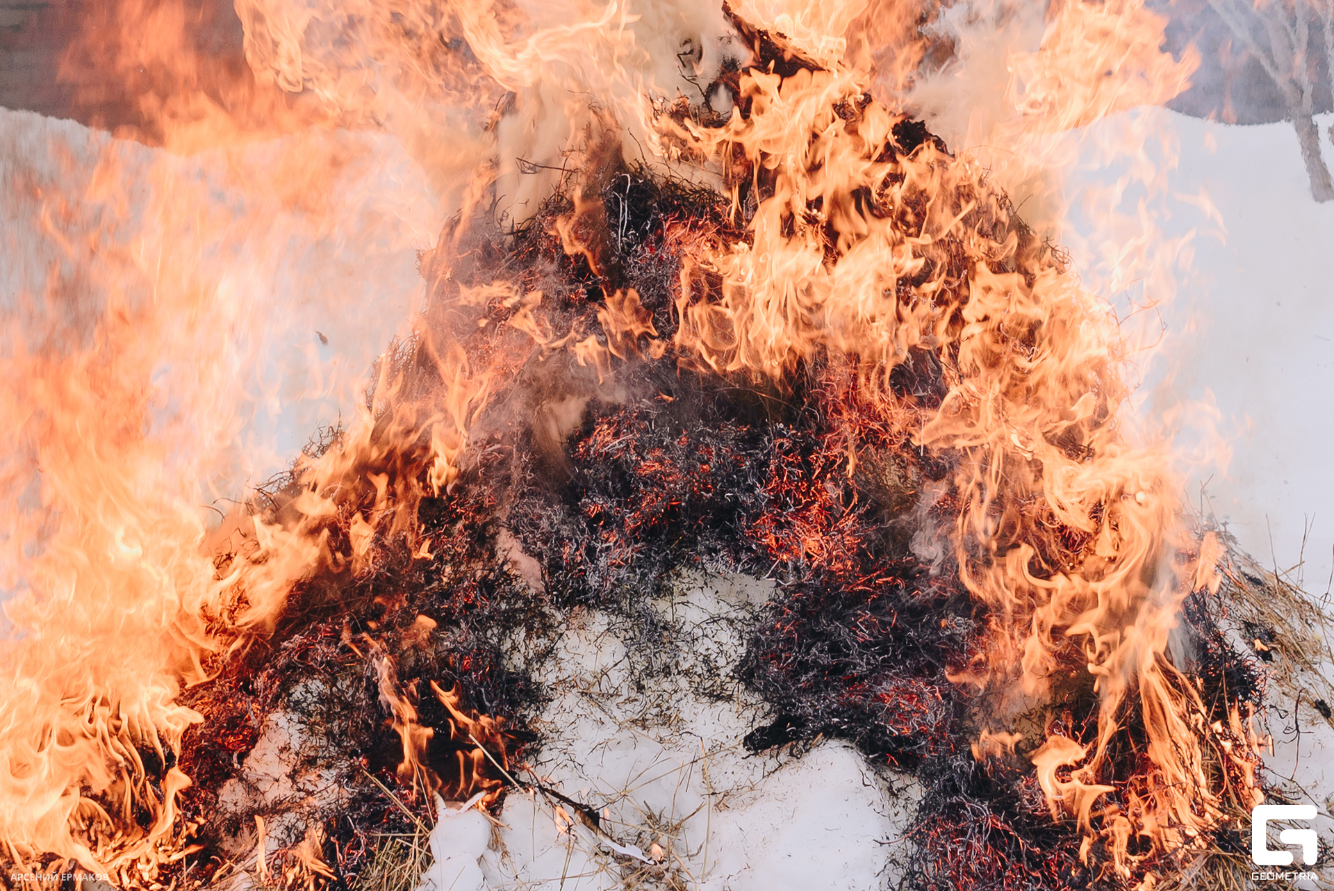 100 02282023_02282023_ermakov.jpg