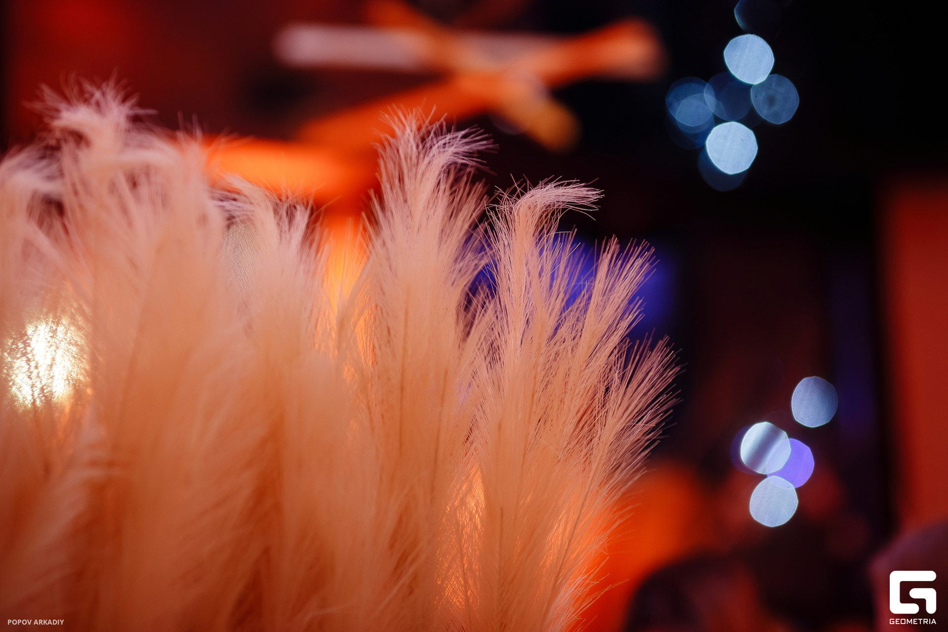 IMG_8516-Улучшено-Ум. шума.jpg