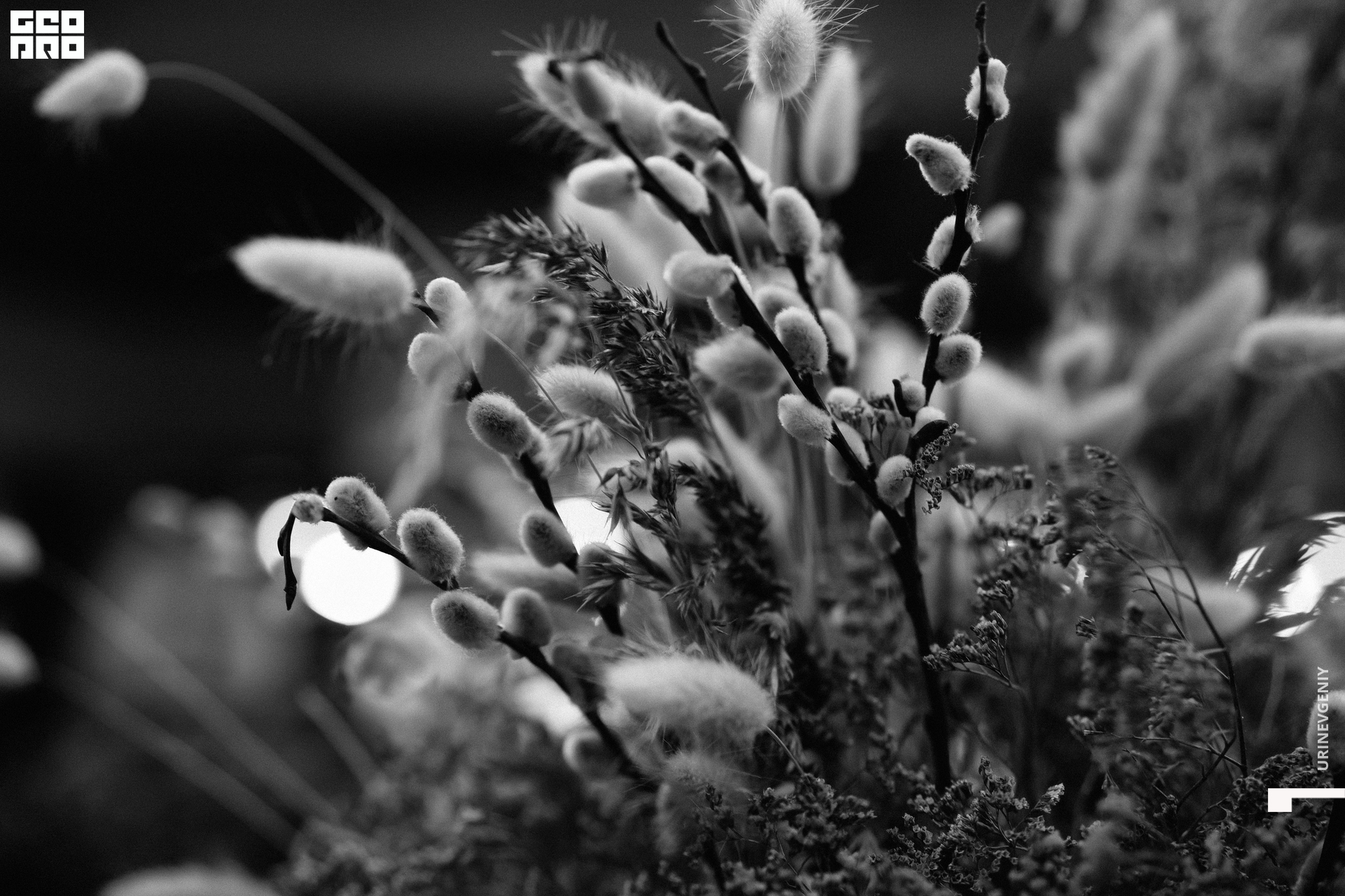 11.12.2020. Каре (2).jpg