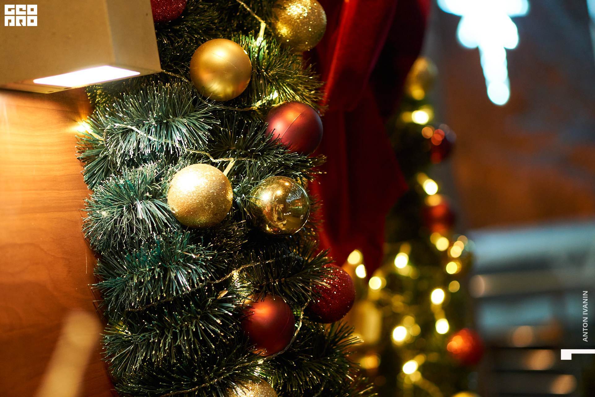 DSC06919 (Копировать).jpg