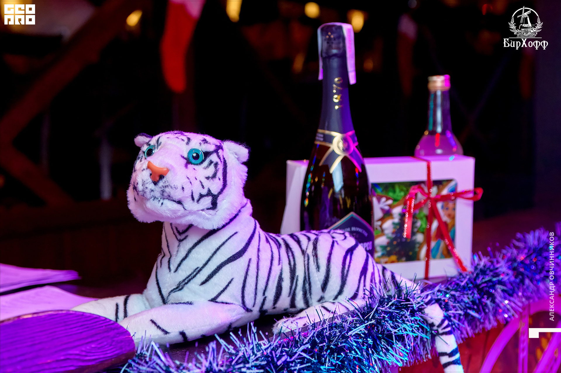 Фото 054 копия.jpg