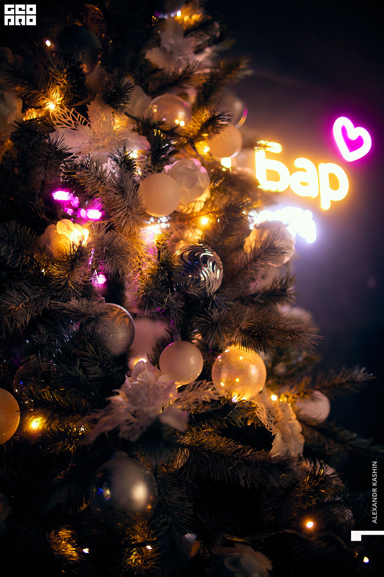 0056 22-12-24 020418 Kashin.jpg