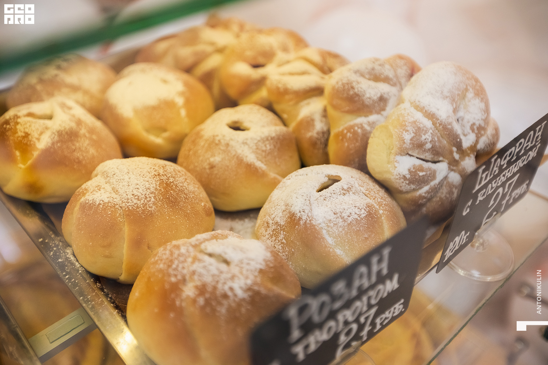 untitled shoot-9924.jpg