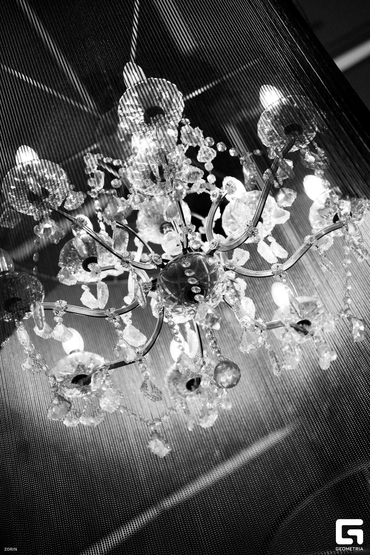 273-20-58-31-25-05-25- Zorin_resized.jpg