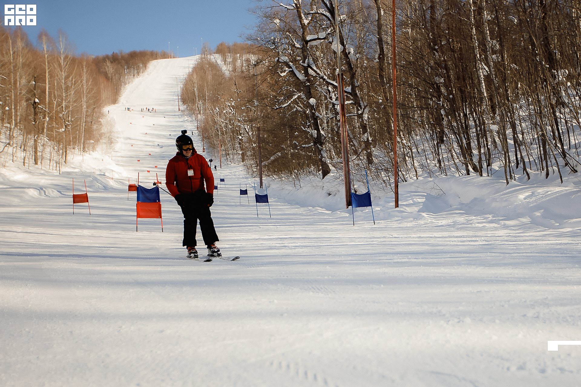 146_22-02-19 ISAEVA.jpg