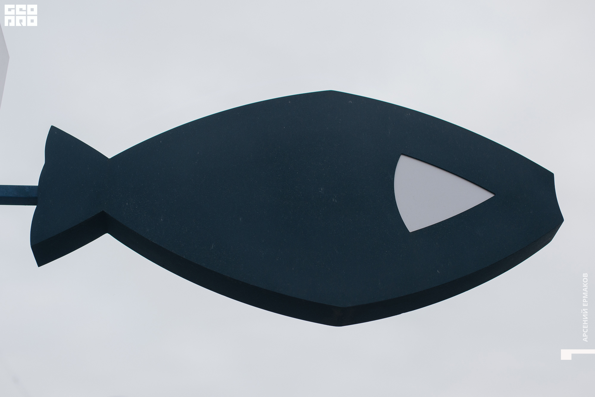 050 2022-08-18-193625_arseniyermakov.jpg