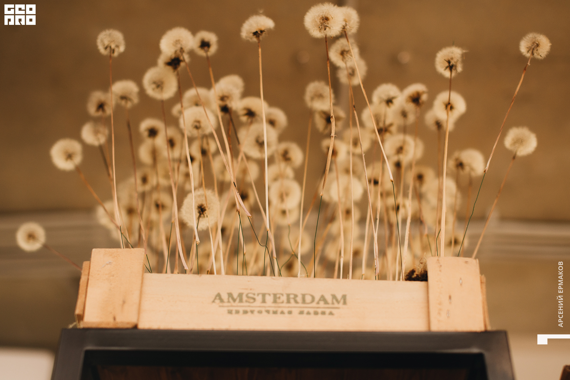 051 2022-09-13-190638_arseniyermakov.jpg