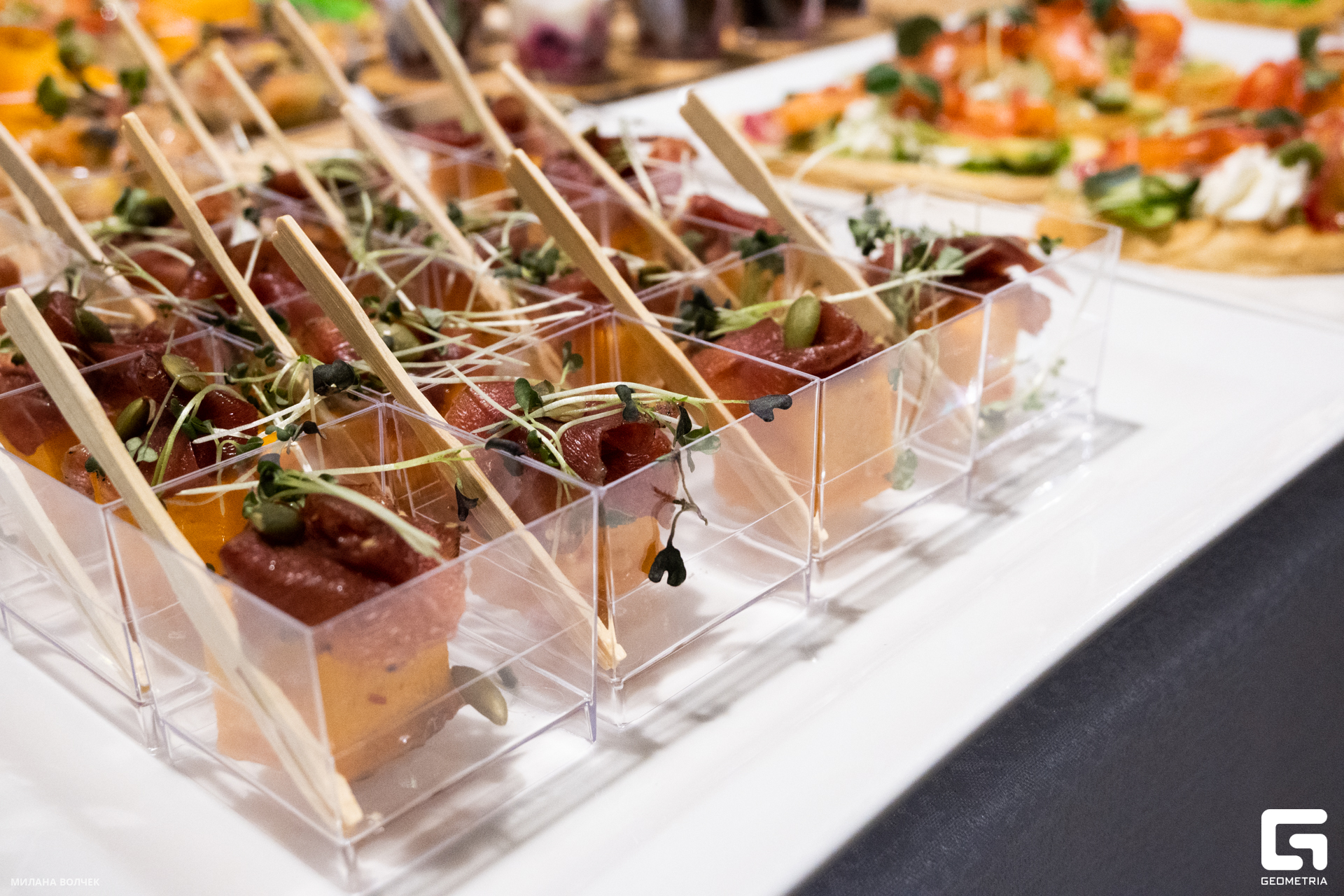 032_20231111 Волчек.jpg