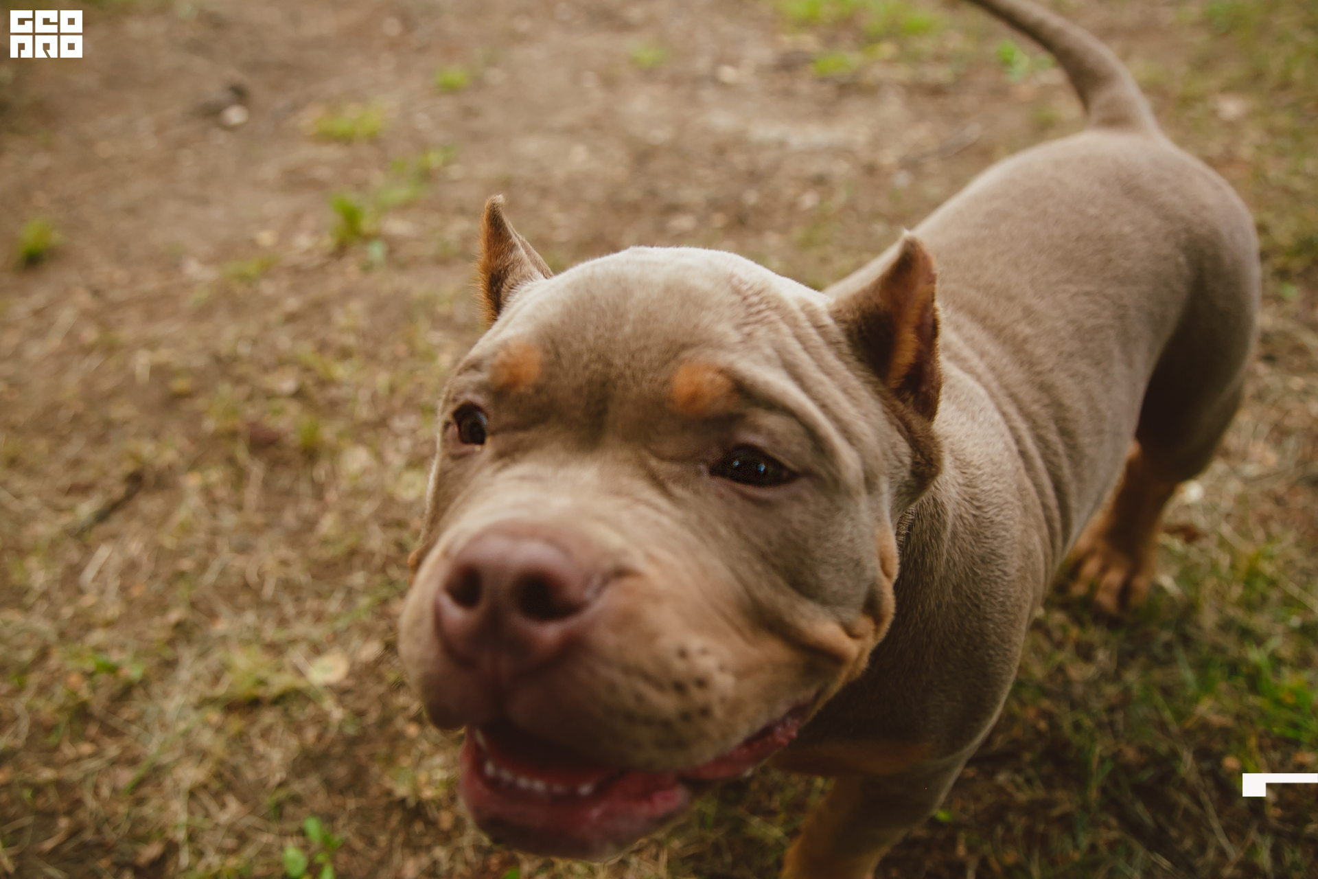 155  06192022  233620 .jpg