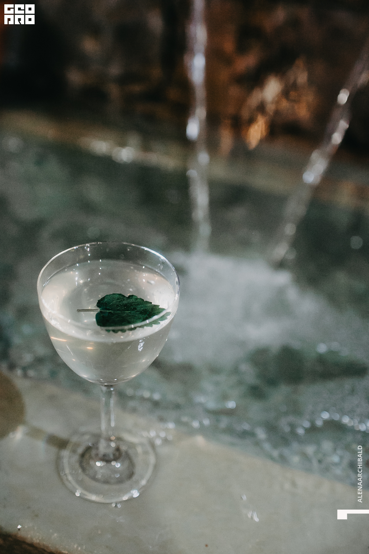 2022-03-06 19-00-24_alenaarchibald034.JPG