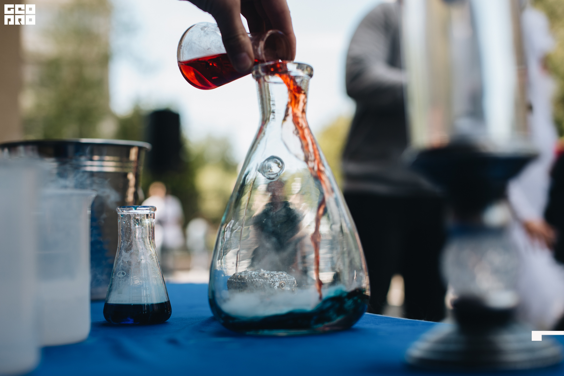 016 2022-06-01-143745_arseniyermakov.jpg