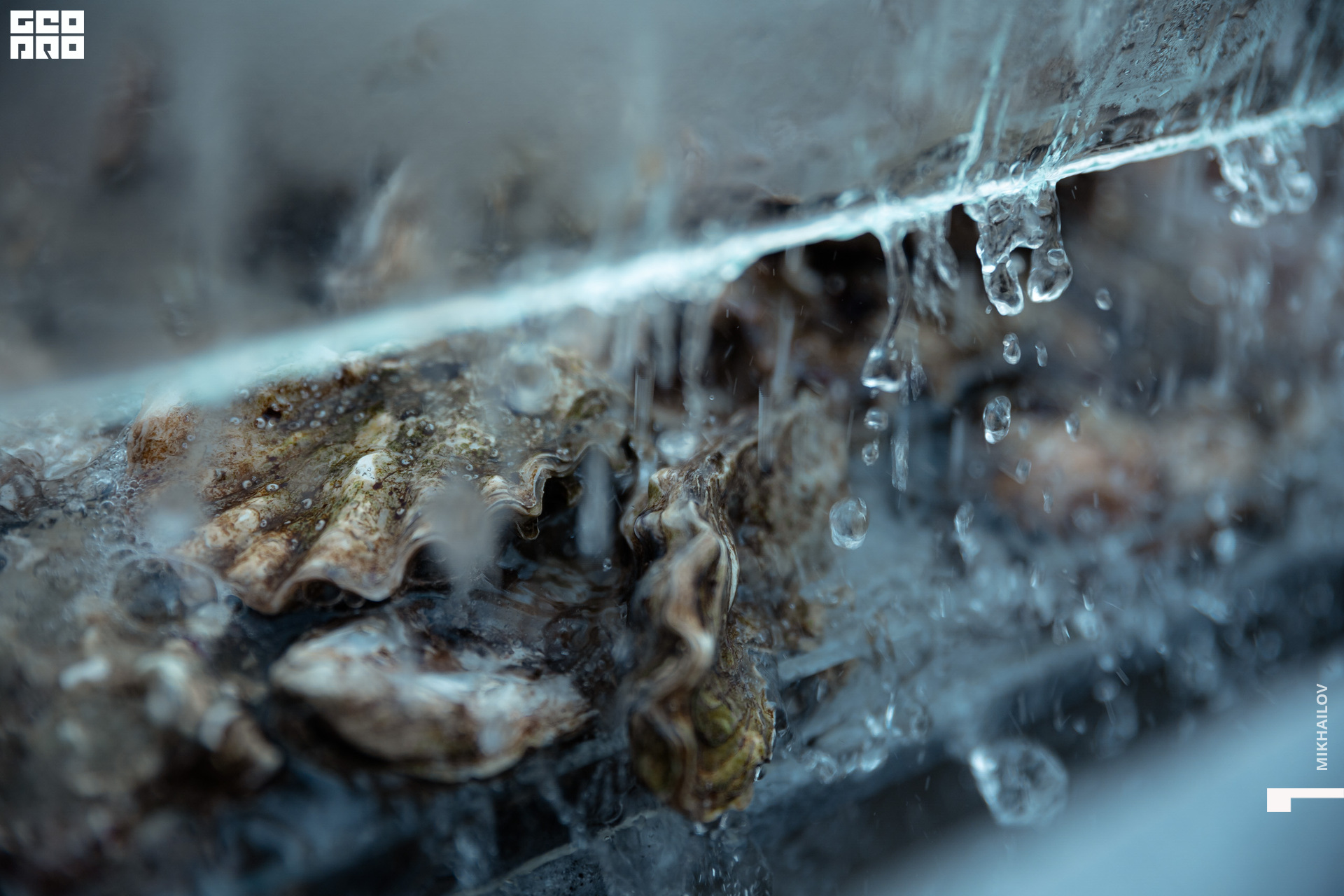 036-20220709-47-Pinzeria - Mikhailov - 2560.jpg