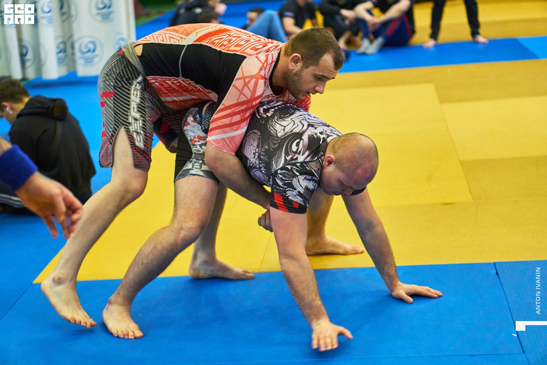 DSC00086 (Копировать).jpg