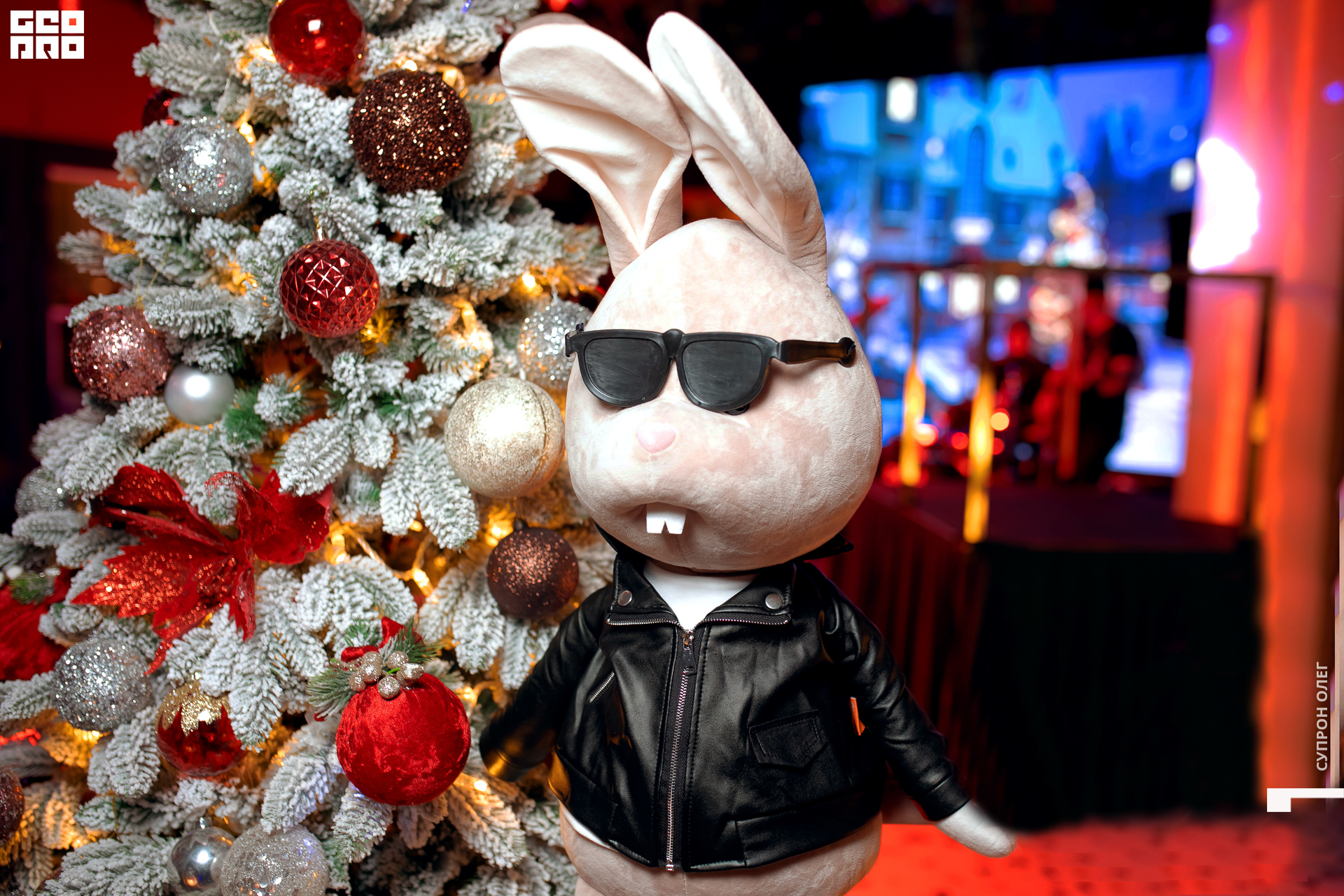 0N5A0283 копия.jpg