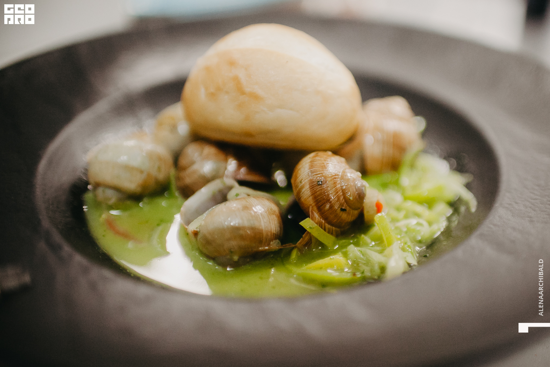 2022-11-18 20-00-27_alenaarchibald010.JPG