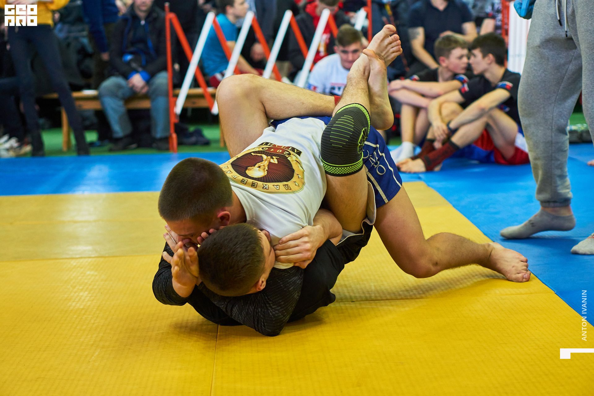 DSC00026 (Копировать).jpg