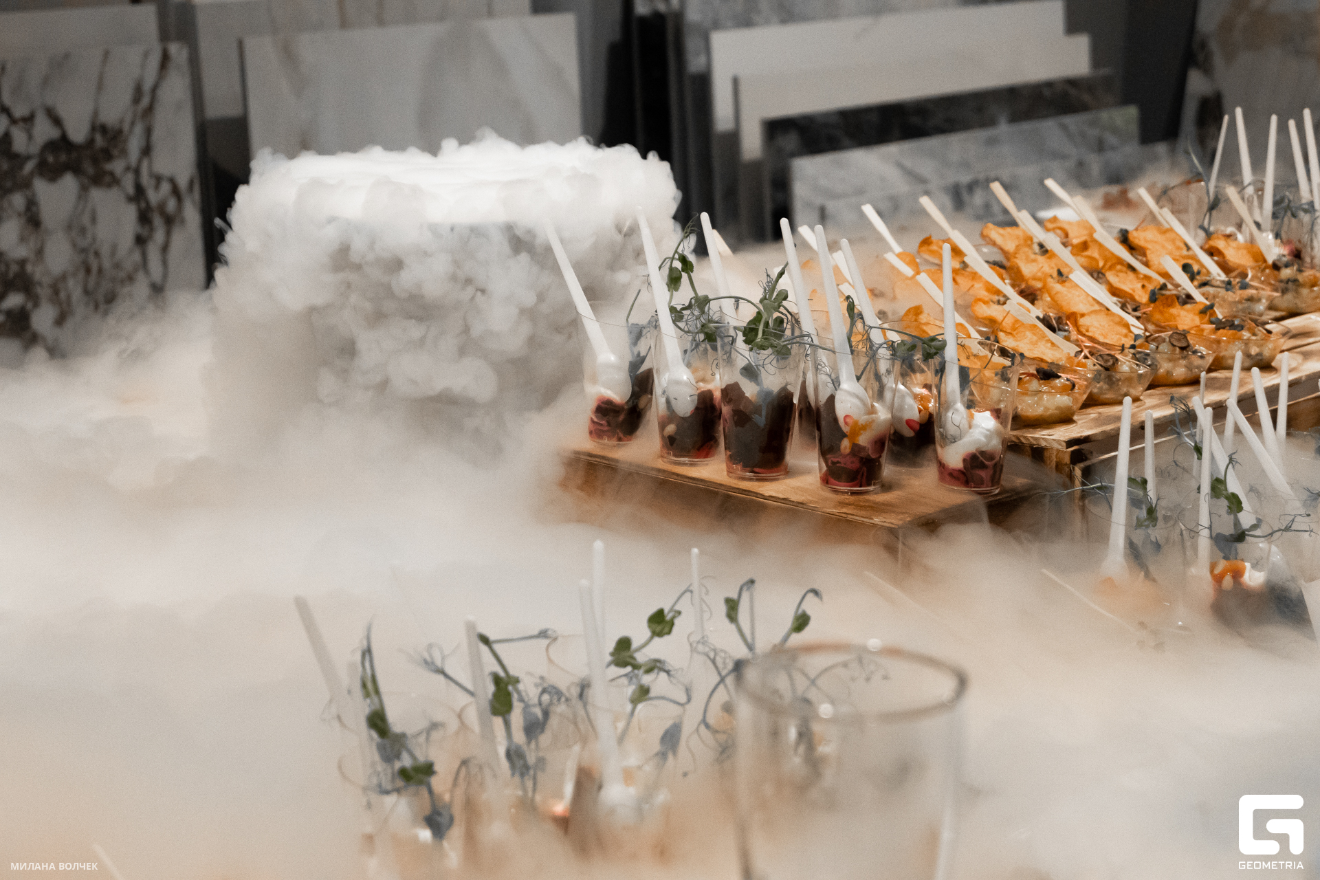 026_20231111 Волчек.jpg