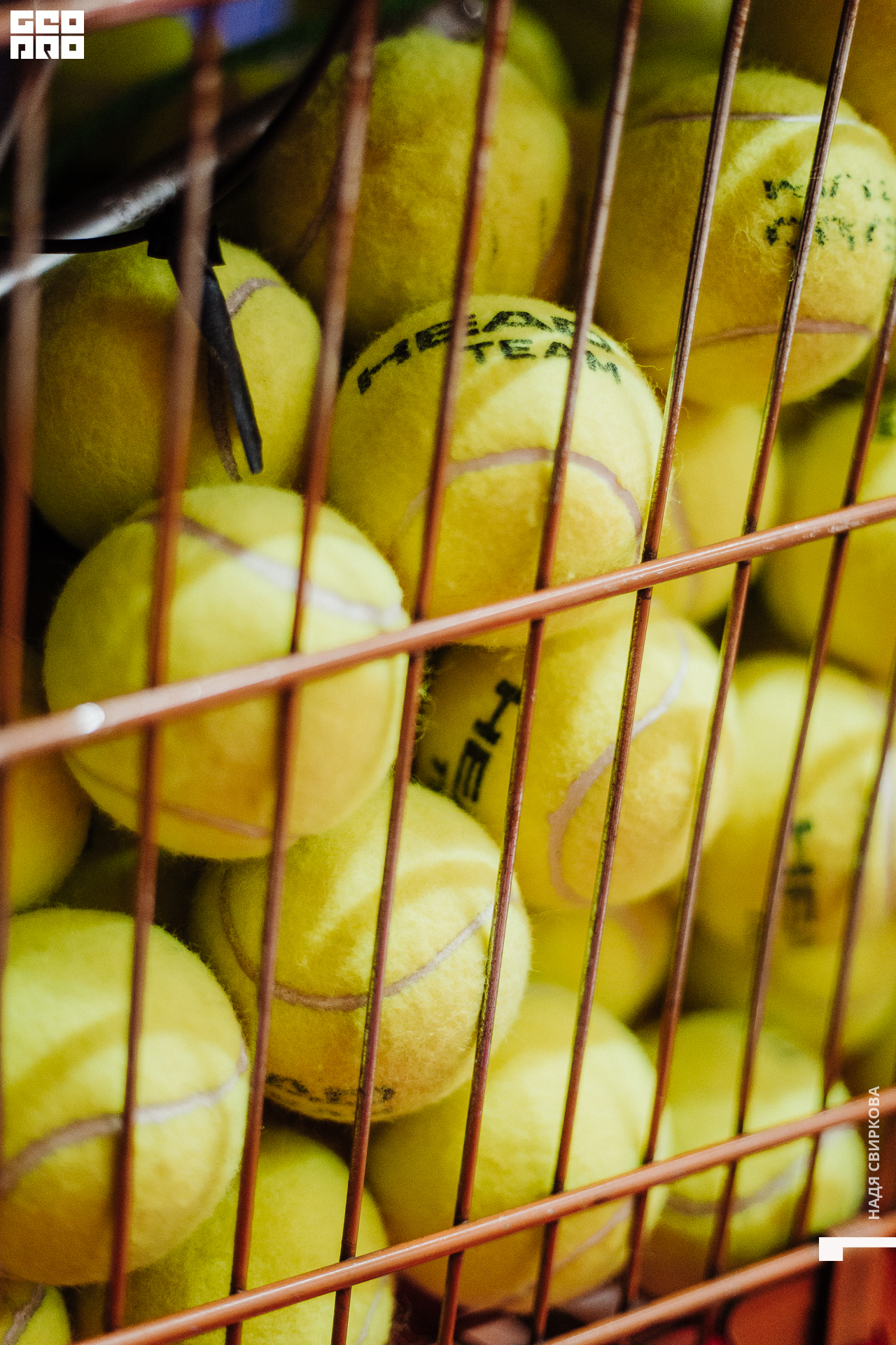 056_2021-08-26 18-00-29 ISAEVA.jpg