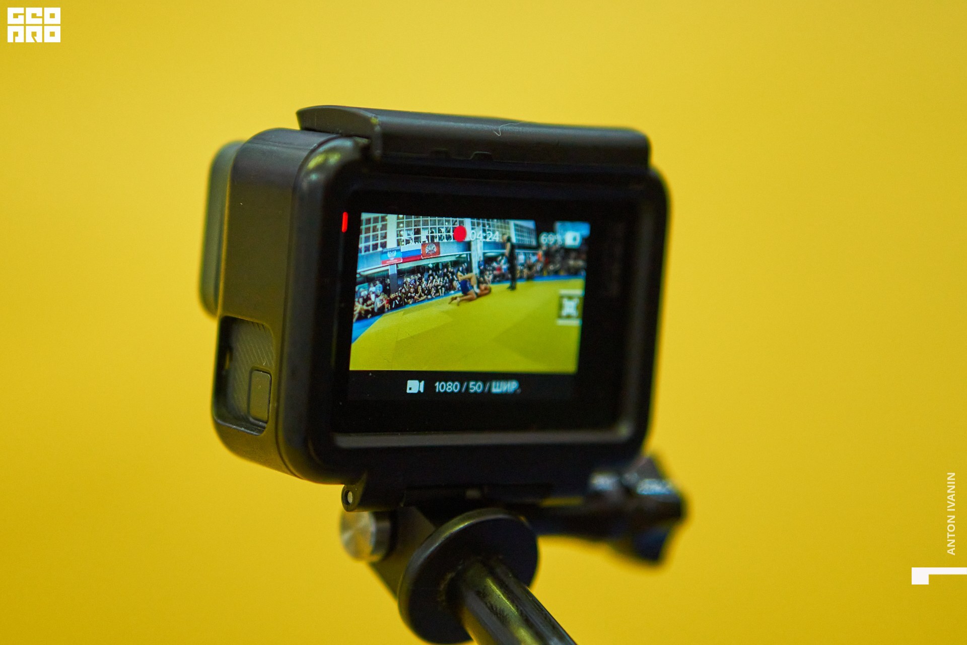 DSC08669 (Копировать).jpg