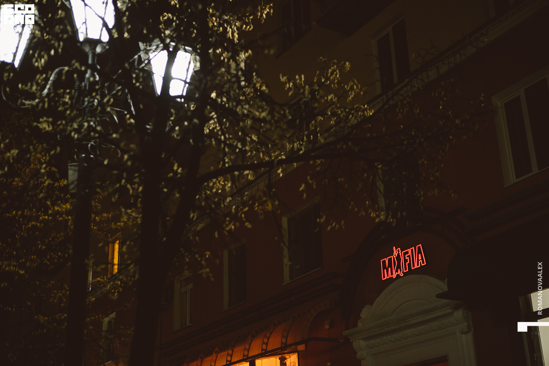 001 211031  202112 _ale_romanova.jpg