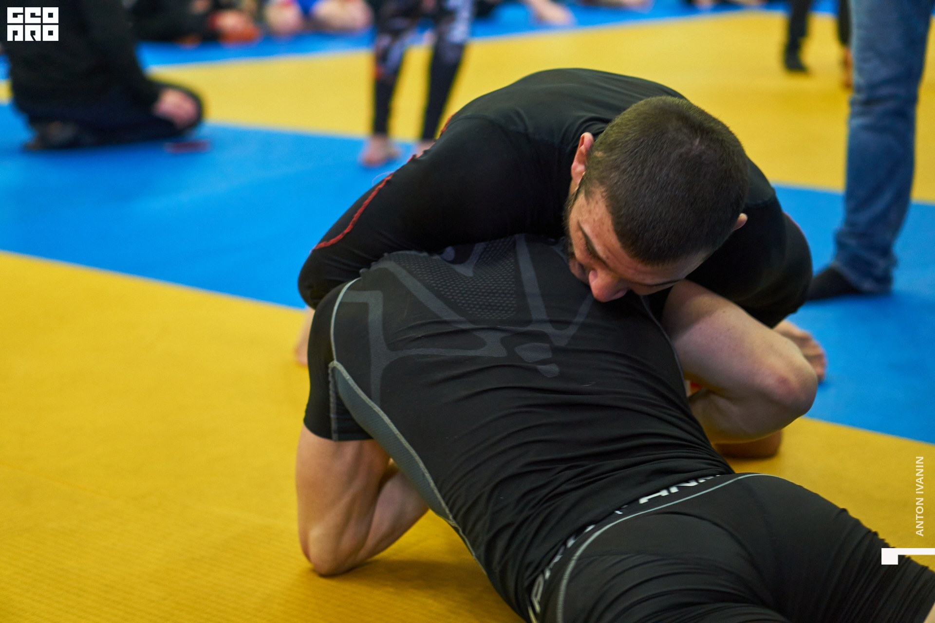 DSC09264 (Копировать).jpg