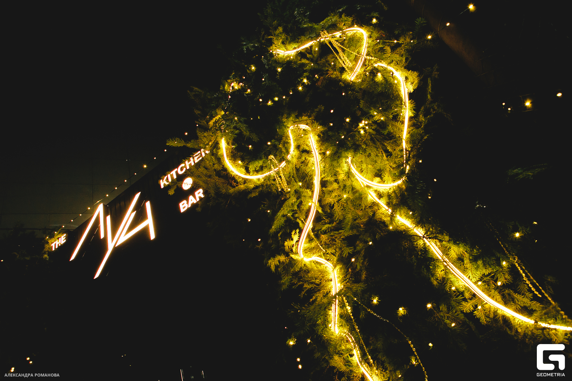 0001 2024-12-06 223301_.jpg