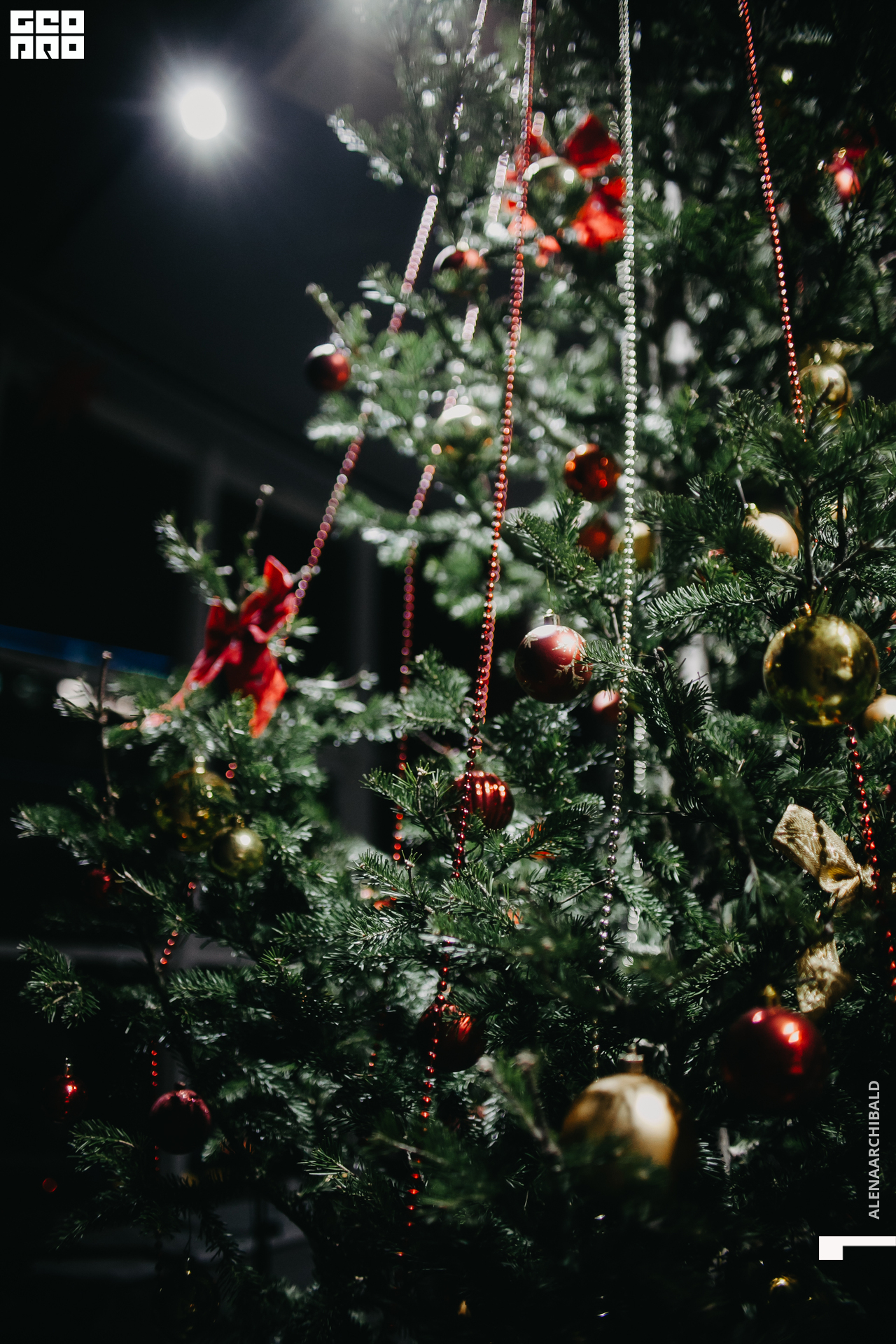 2020-12-23 17-05-02_alenaarchibald_031.JPG