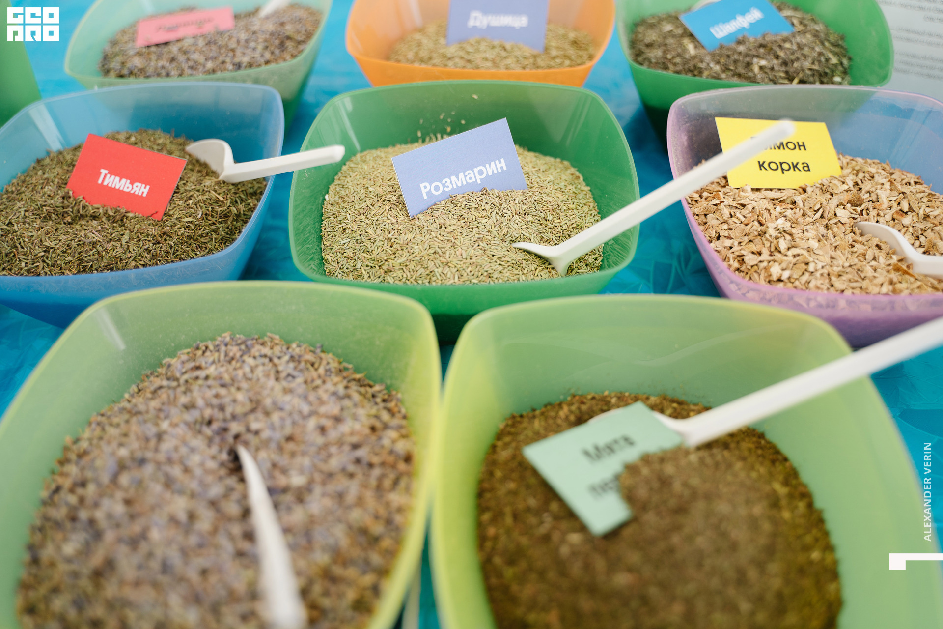 0018 20210821 день города_ALV4468 копия.jpg