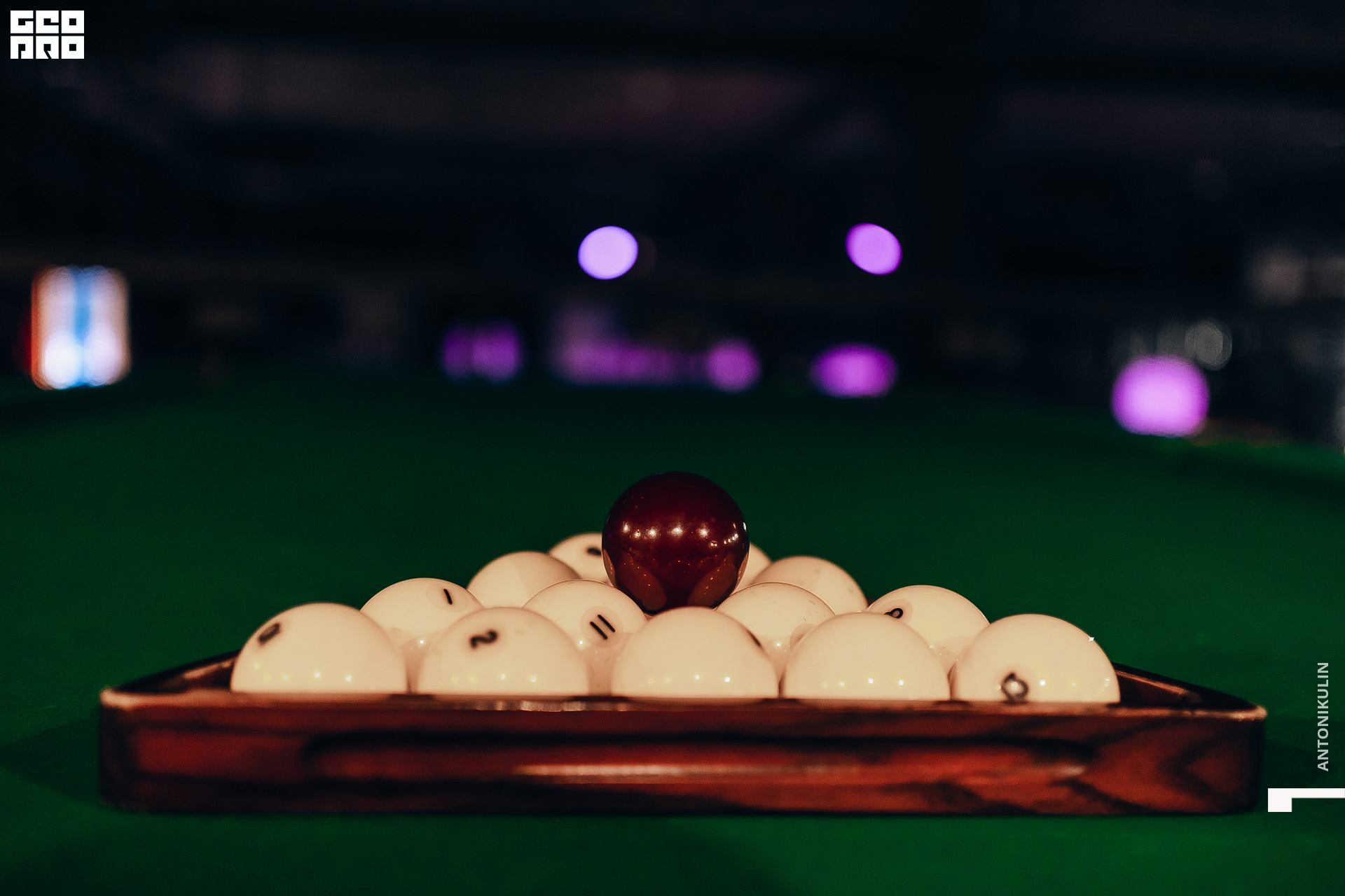 untitled shoot-7533.jpg