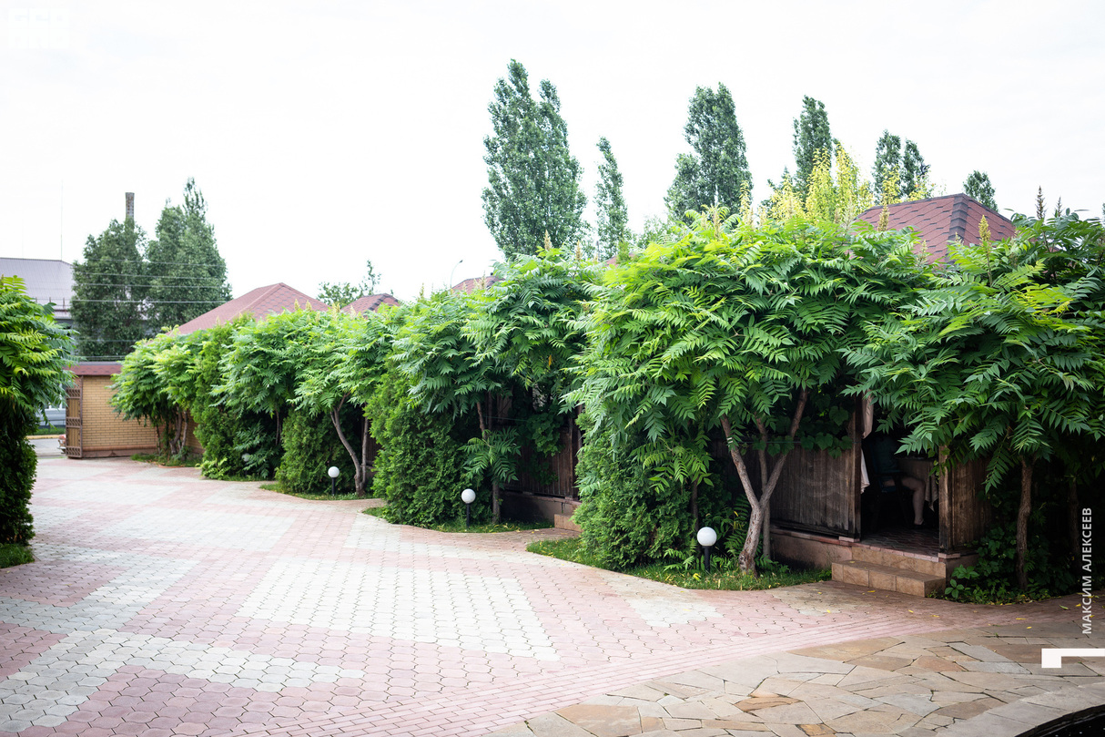 Пятница в кафе Каспий 23