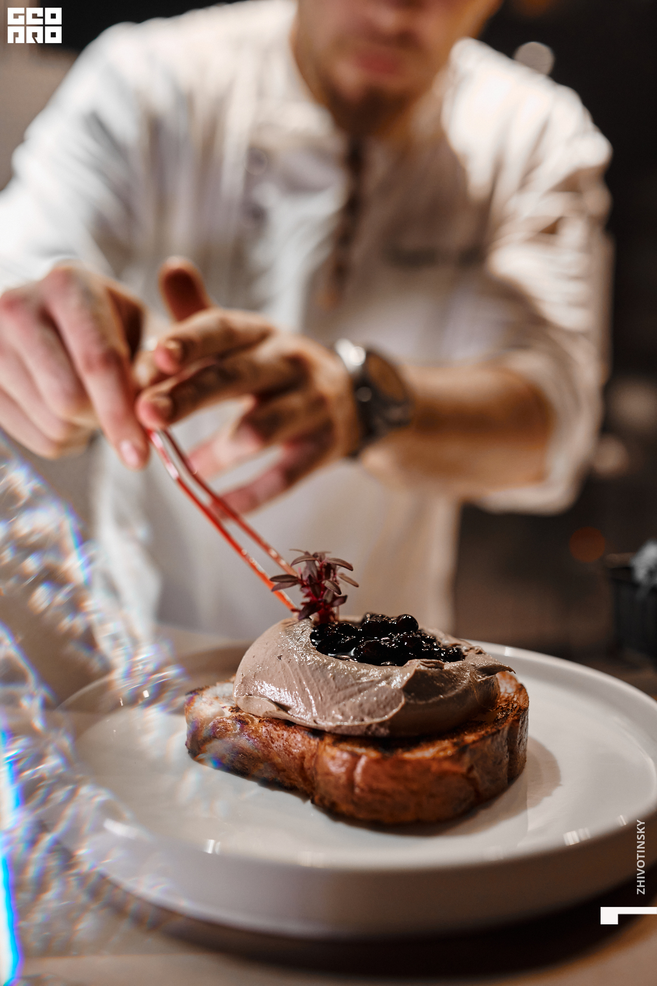 013_17-06-22_11-06 _Zhivotinsky.jpg