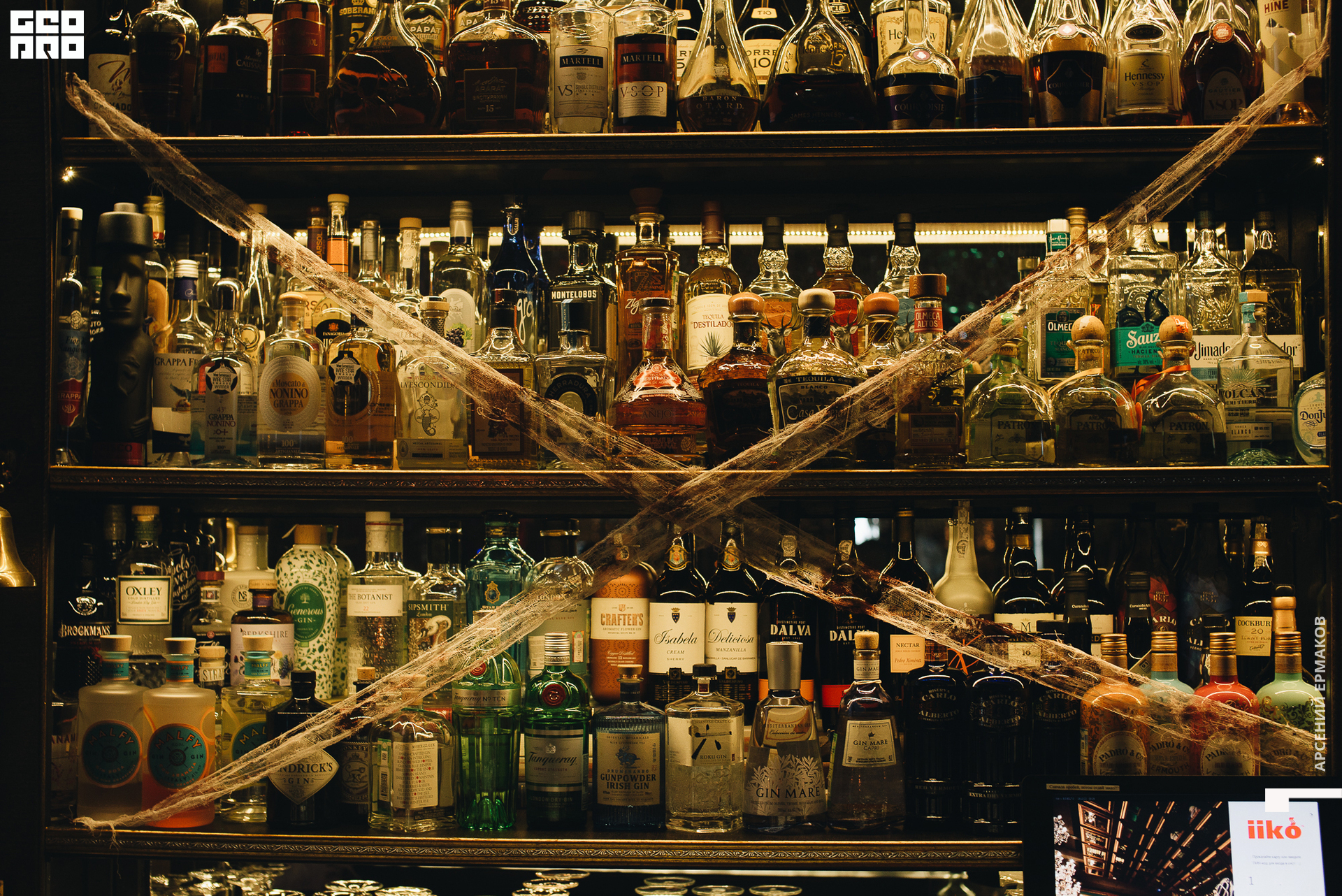 002 2022-10-31-002646_arseniyermakov.jpg