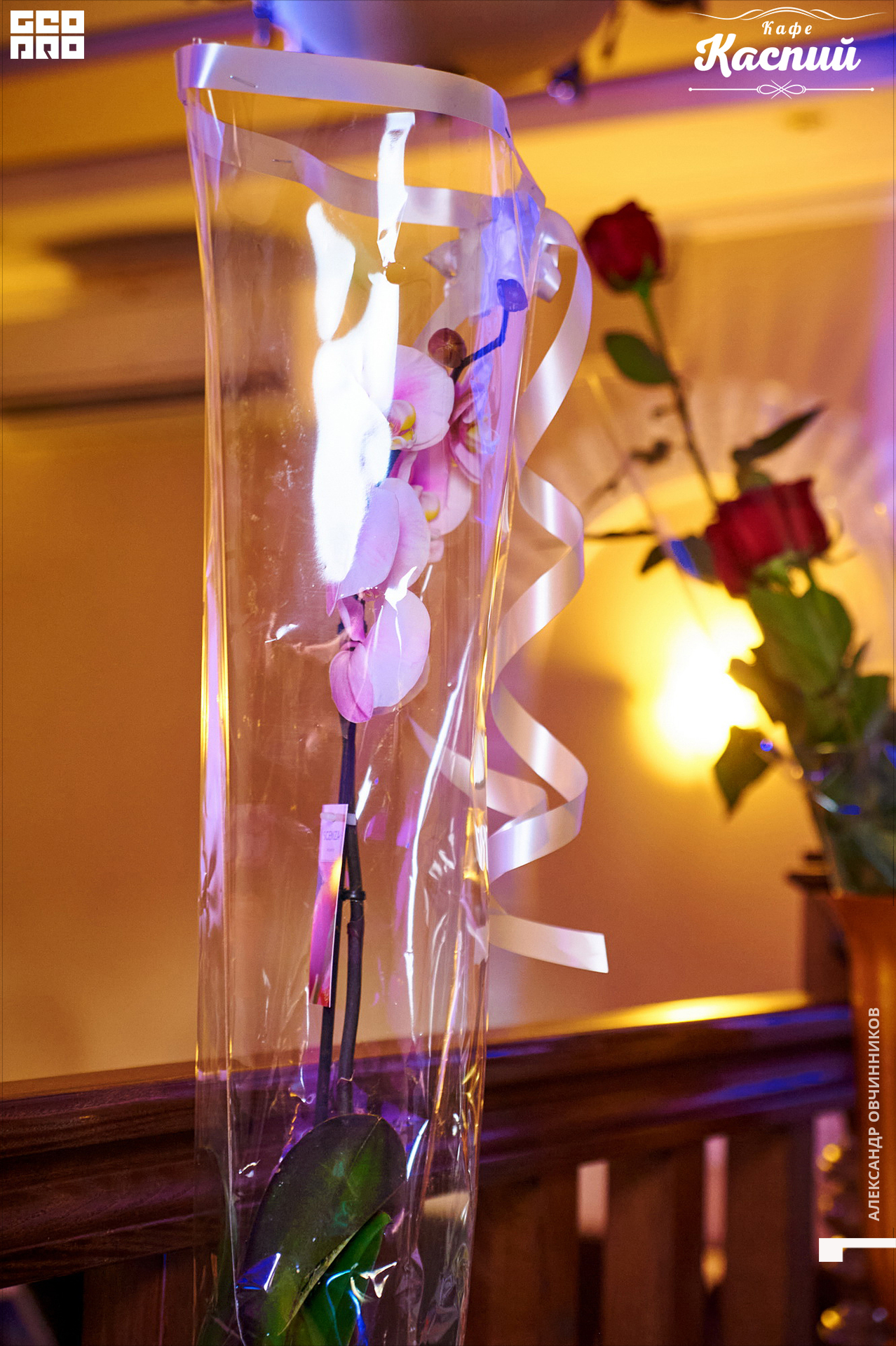 Фото 077 копия.jpg