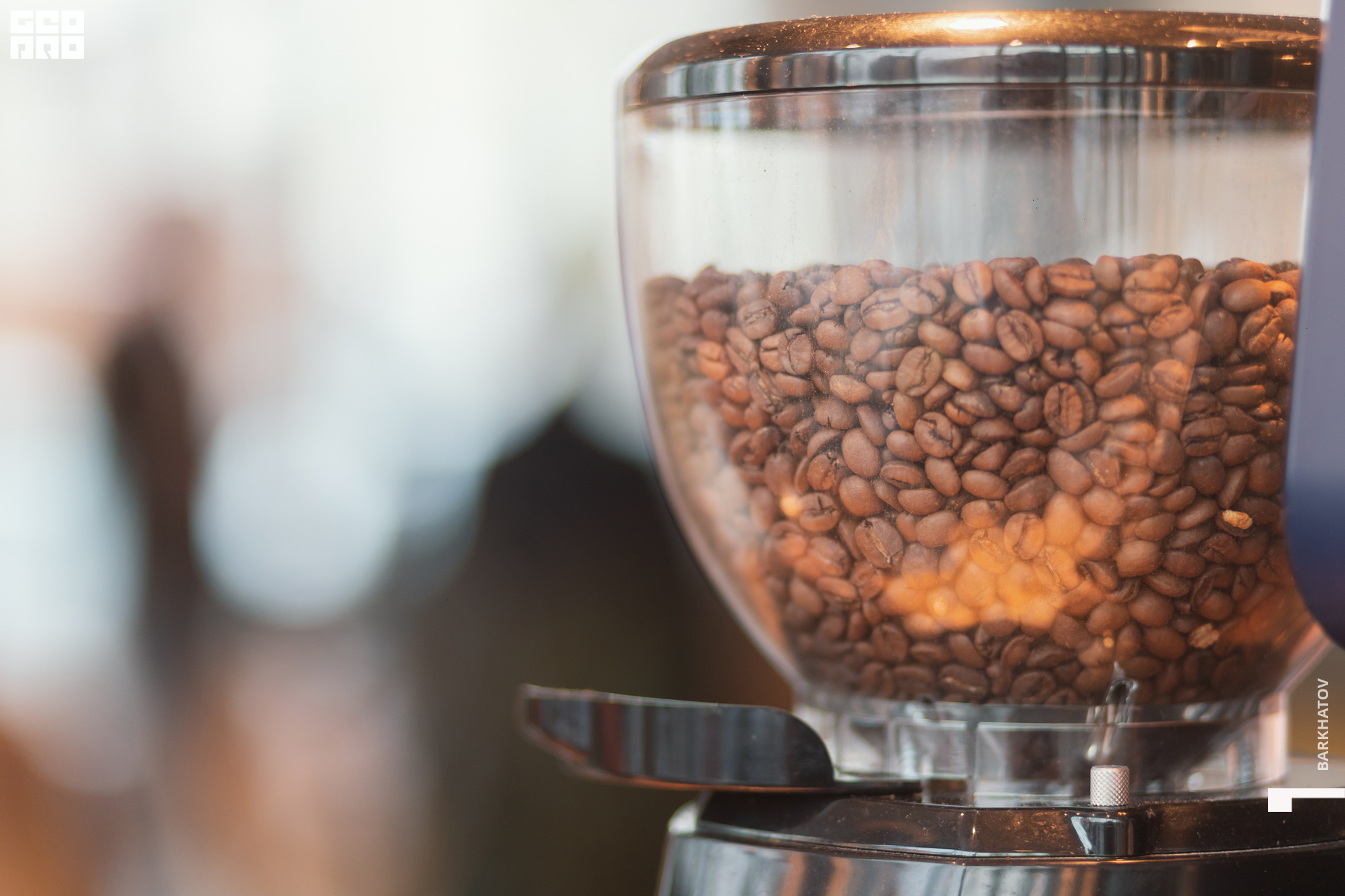 131 (1857) 25.11.22 @mibiyl.jpg