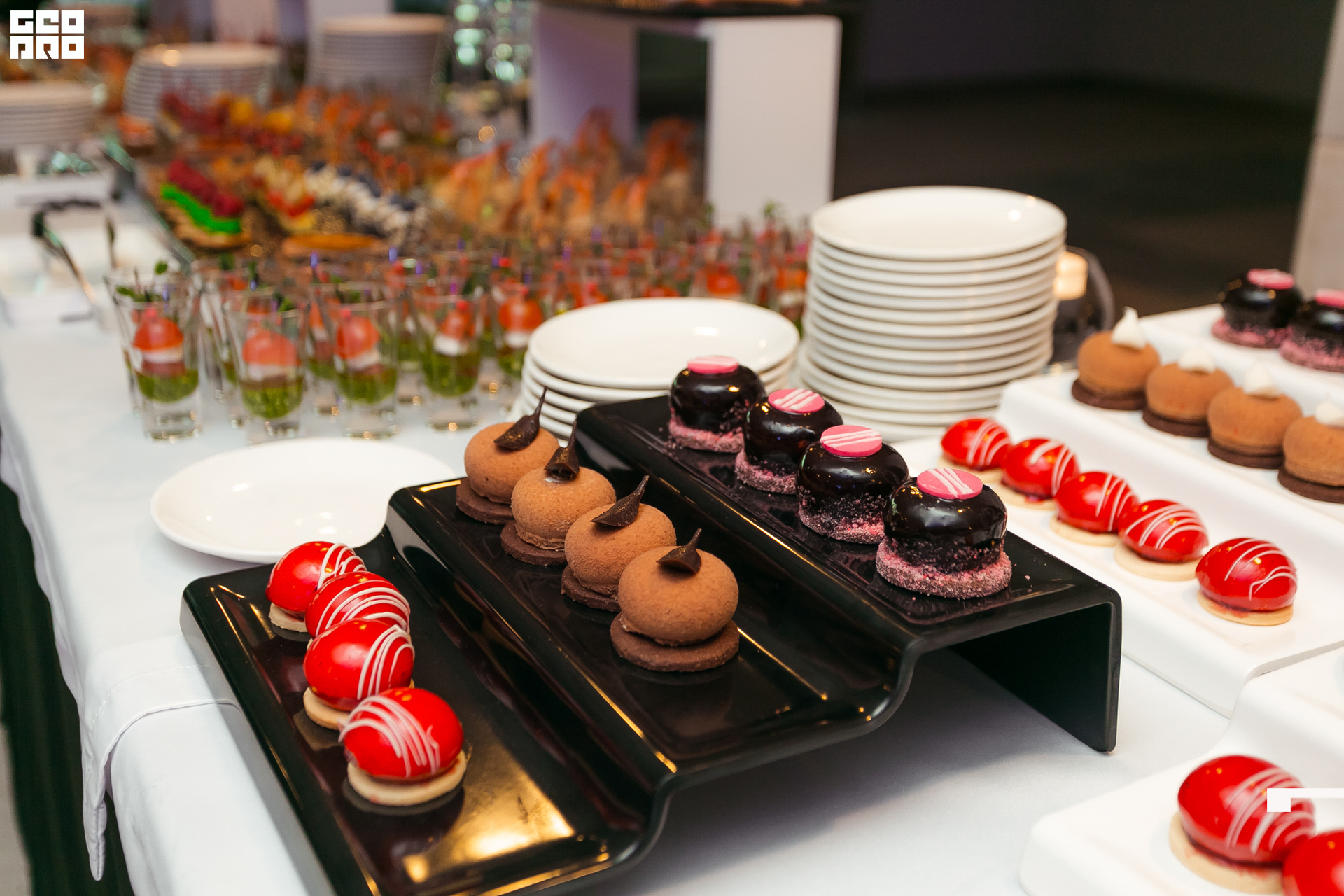 116-20211211-56-11.12.21 - Ёлки.jpg