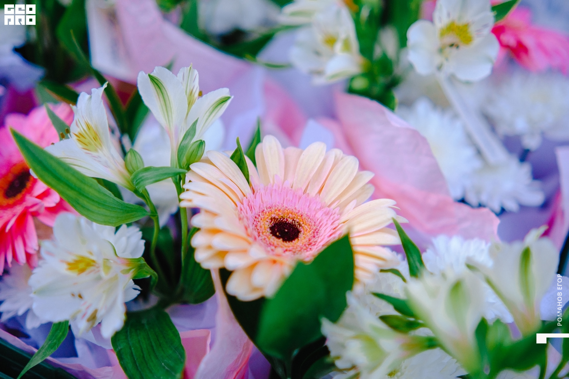 тенис (441).jpg