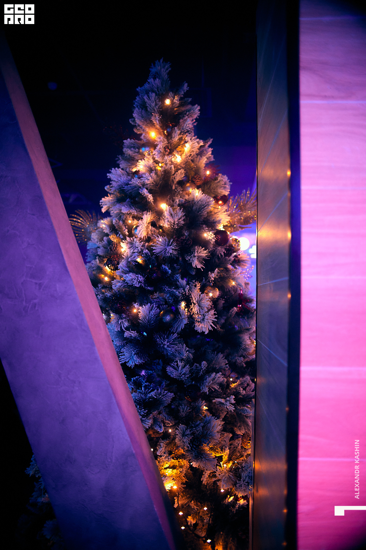 0073 22-12-24 022448 Kashin.jpg