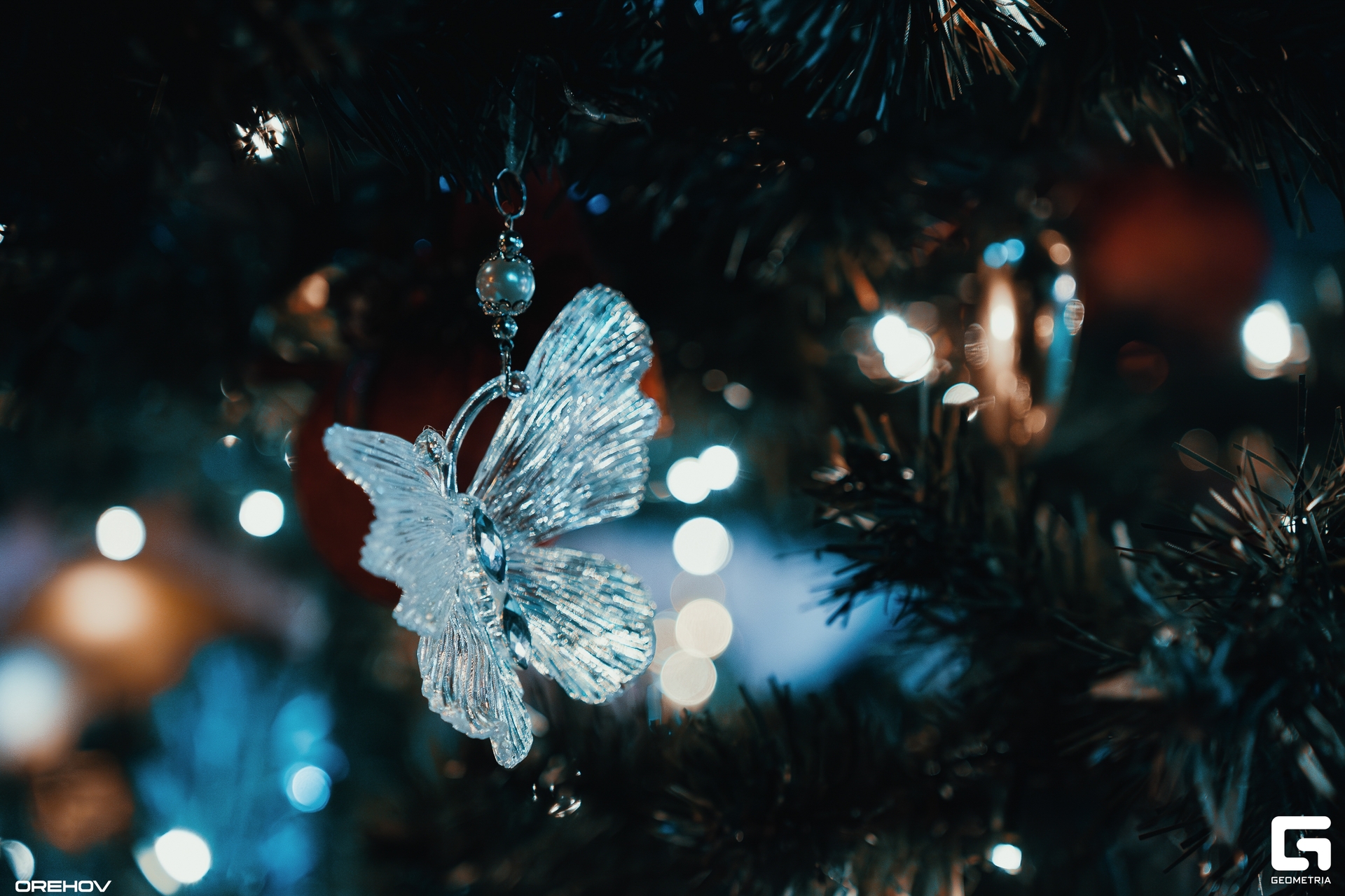 DSC04245-Улучшено-Ум. шума.jpg