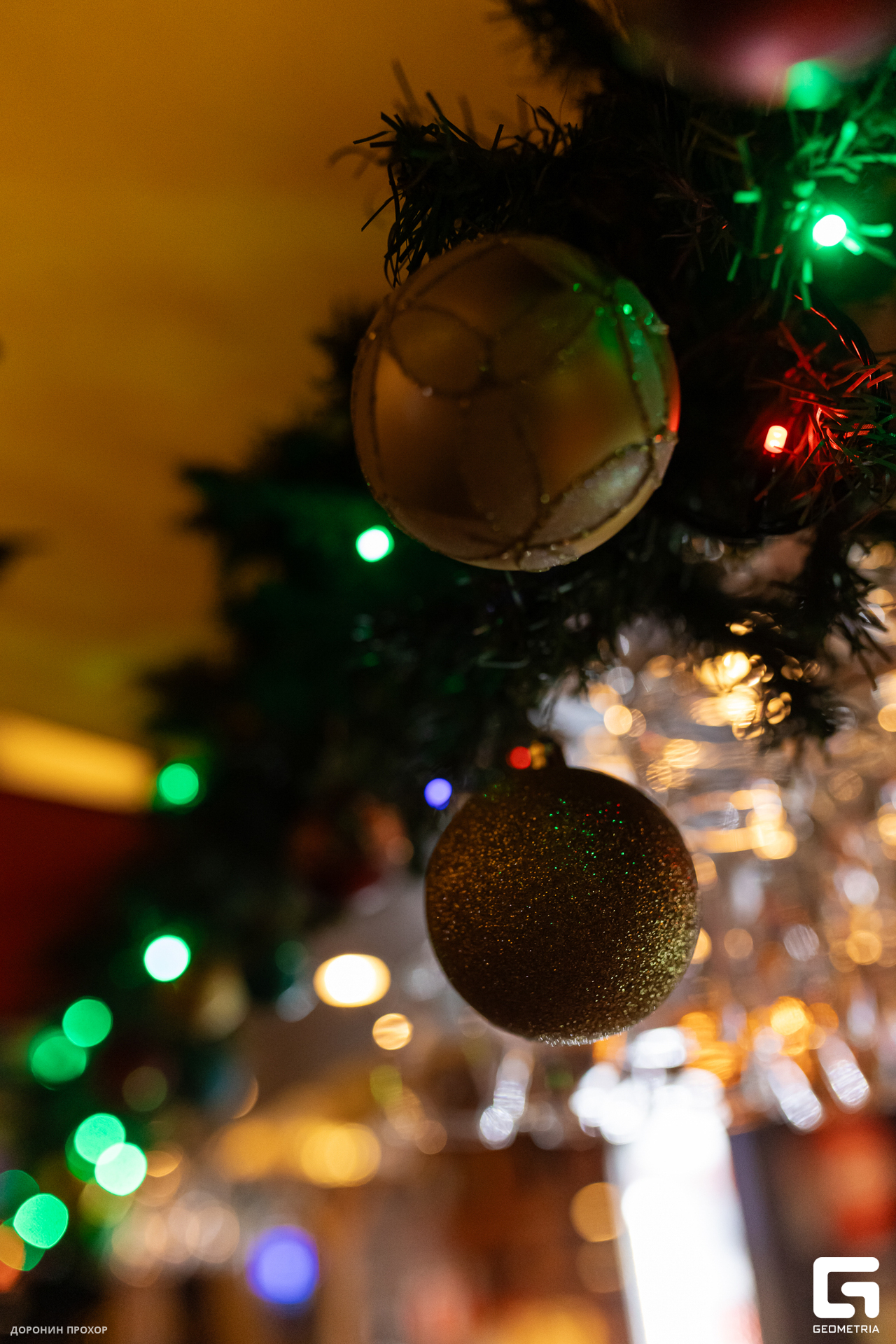 2023.12.28 Winkel 024.jpg