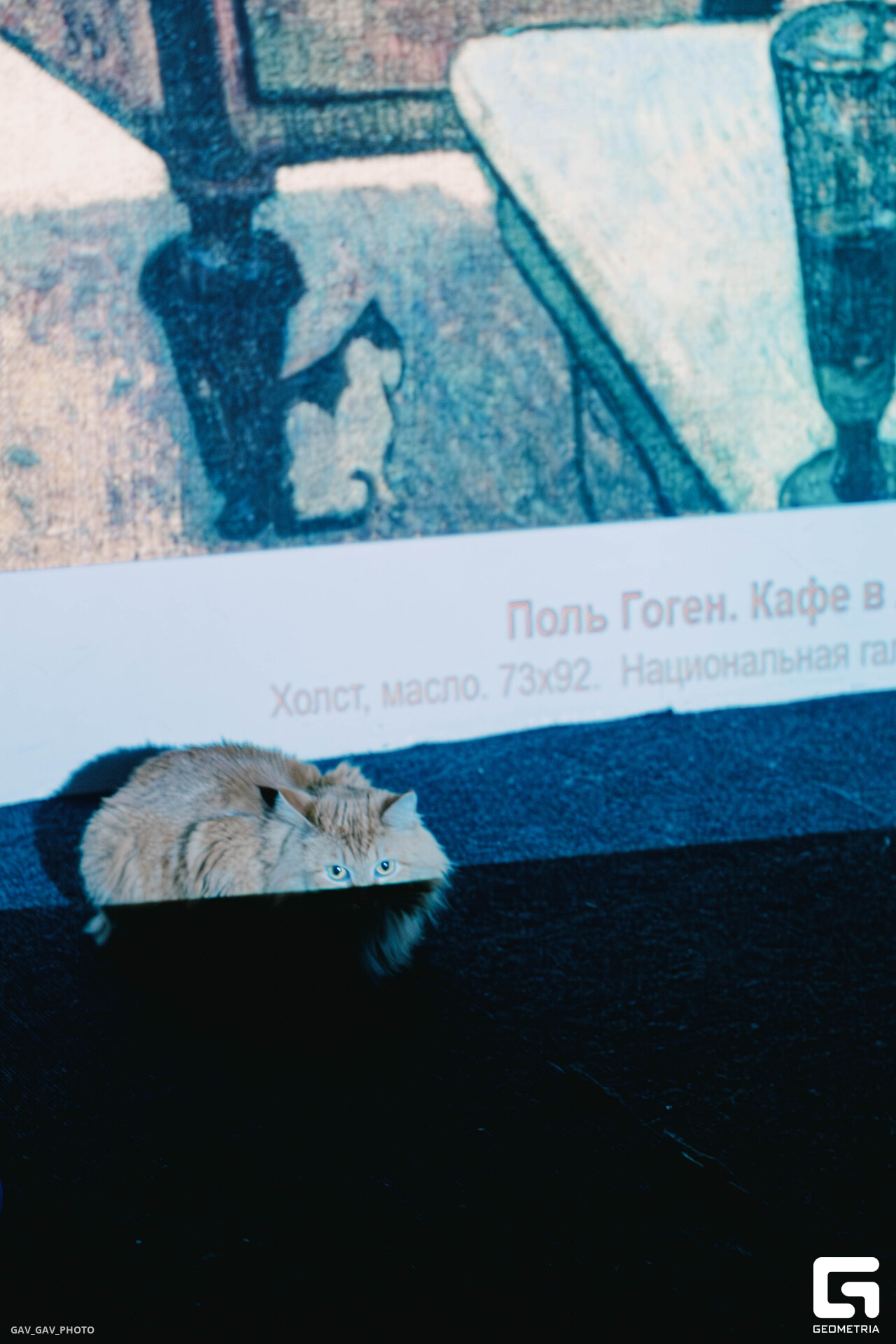 DSCF5850-Улучшено-Ум. шума.jpg