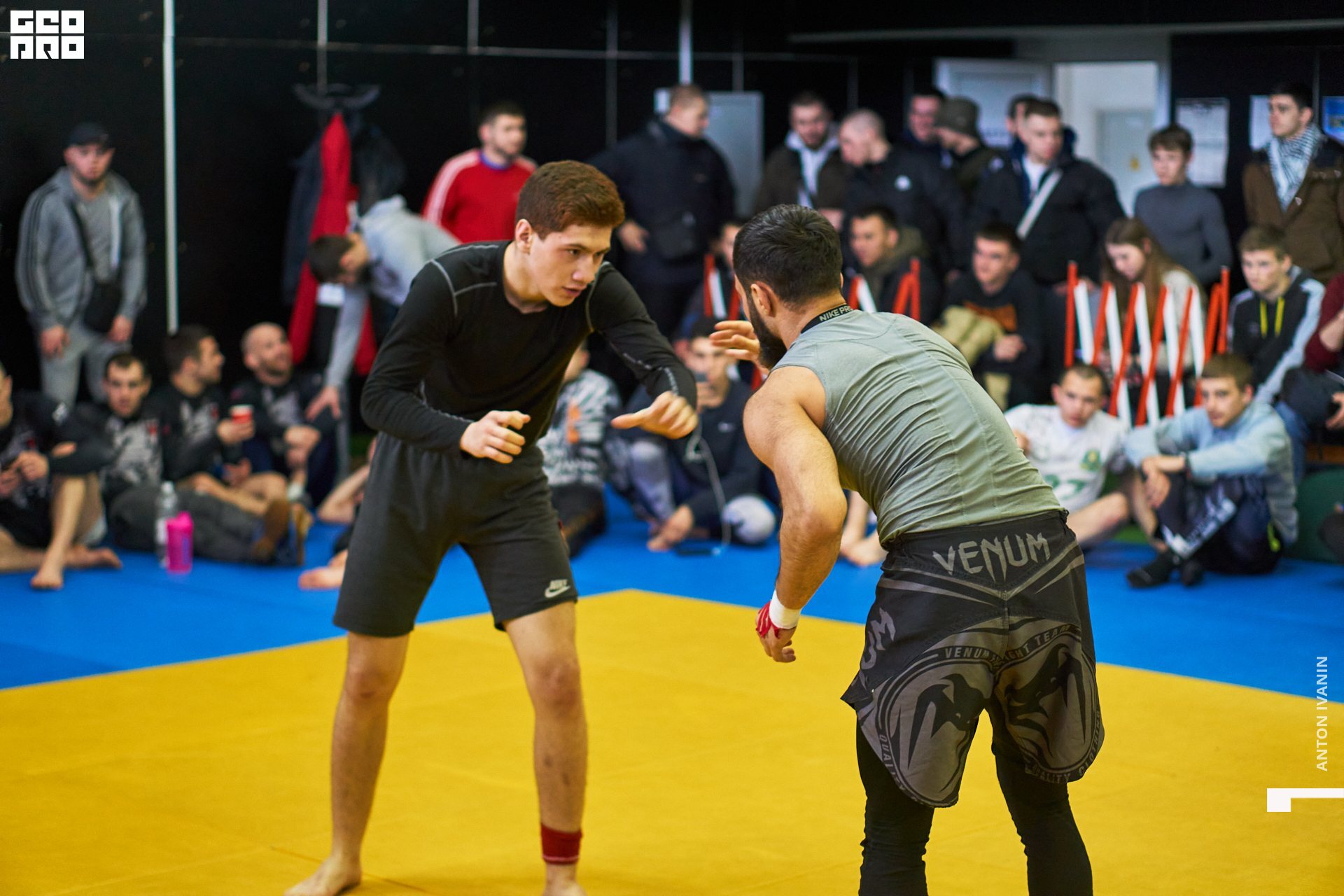 DSC09485 (Копировать).jpg