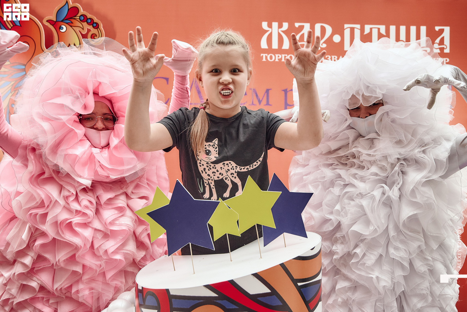 Жар_птица 130.jpg