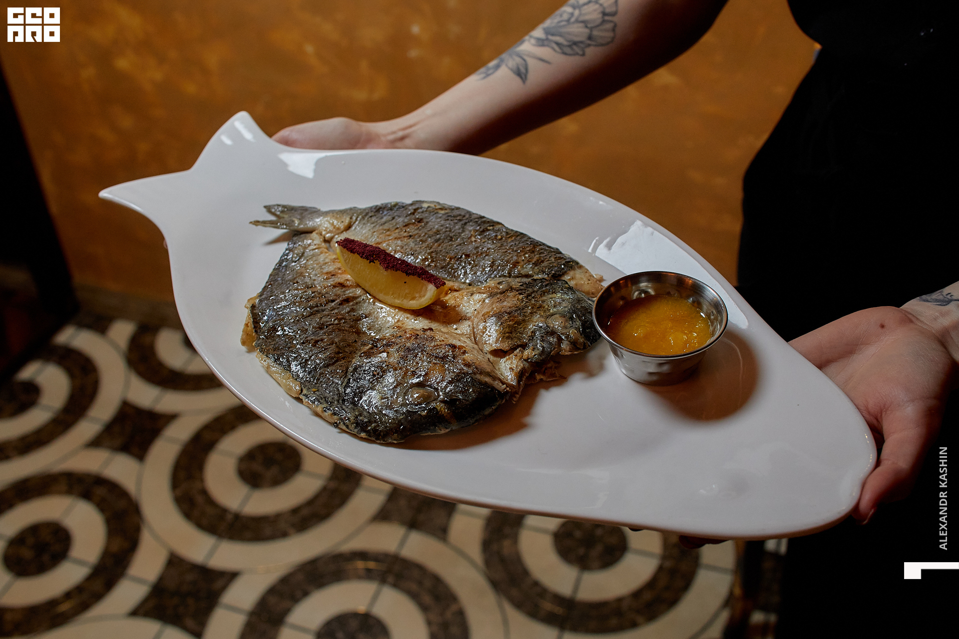 0036 22-11-26 212554 Kashin.jpg