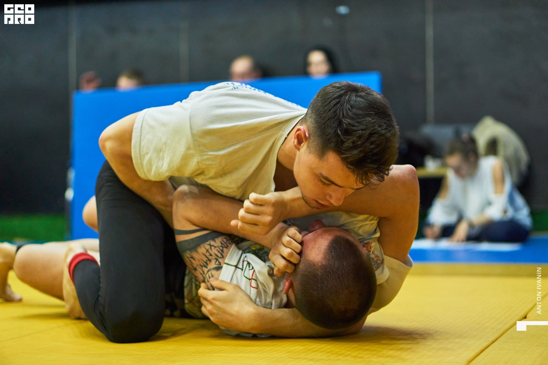 DSC00066 (Копировать).jpg