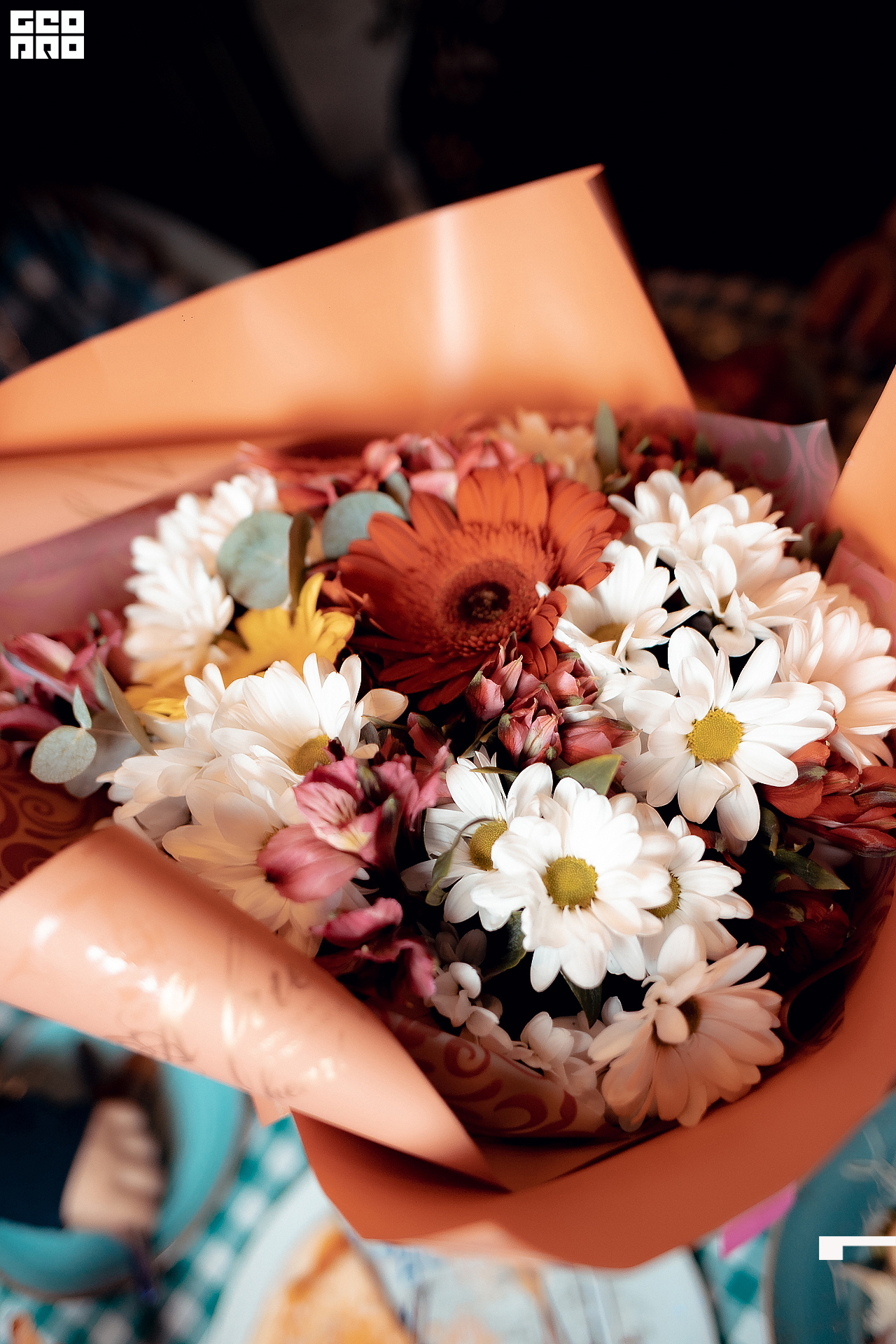 051 13.11.2020 - @mibiyl.jpg